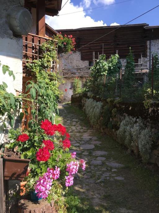 Casa Bernard Zortea Vanoi Cuore Verde Del Trentino Canal San Bovo Exteriör bild